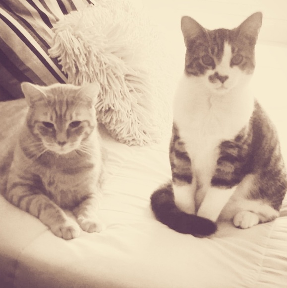 PcN - Picture 1 of 2